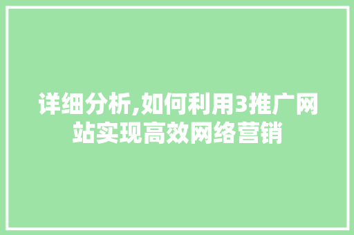 详细分析,如何利用3推广网站实现高效网络营销