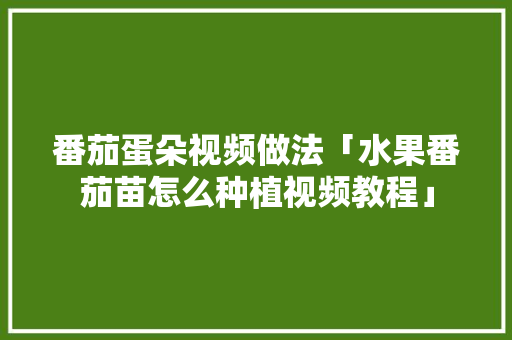 番茄蛋朵视频做法「水果番茄苗怎么种植视频教程」 番茄蛋朵视频做法「水果番茄苗怎么种植视频教程」 花朵知识