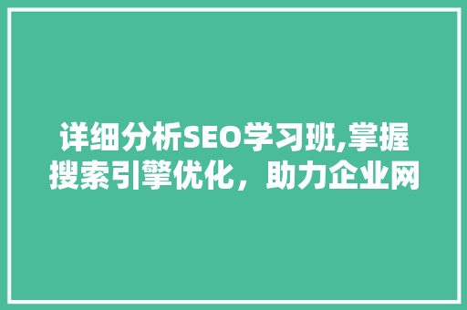 详细分析SEO学习班,掌握搜索引擎优化，助力企业网站提升排名 番茄种植技巧