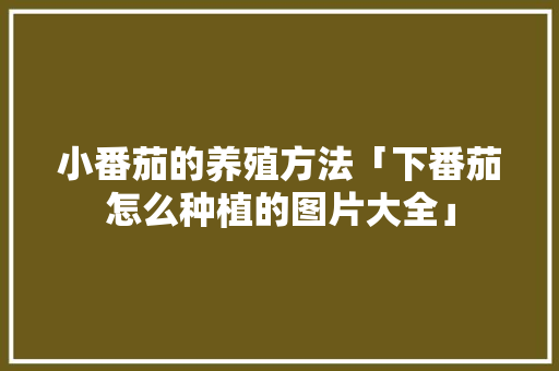 小番茄的养殖方法「下番茄怎么种植的图片大全」 小番茄的养殖方法「下番茄怎么种植的图片大全」 番茄病虫害防治