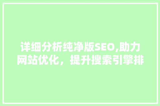 详细分析纯净版SEO,助力网站优化，提升搜索引擎排名