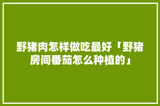 野猪肉怎样做吃最好「野猪房间番茄怎么种植的」