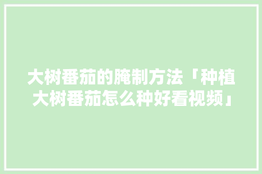 大树番茄的腌制方法「种植大树番茄怎么种好看视频」 大树番茄的腌制方法「种植大树番茄怎么种好看视频」 番茄病虫害防治