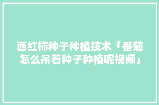 西红柿种子种植技术「番茄怎么吊着种子种植呢视频」 西红柿种子种植技术「番茄怎么吊着种子种植呢视频」 土壤施肥