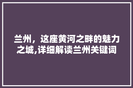 兰州，这座黄河之畔的魅力之城,详细解读兰州关键词优化方法
