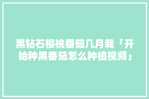 黑钻石樱桃番茄几月栽「开始种黑番茄怎么种植视频」 黑钻石樱桃番茄几月栽「开始种黑番茄怎么种植视频」 农业常识