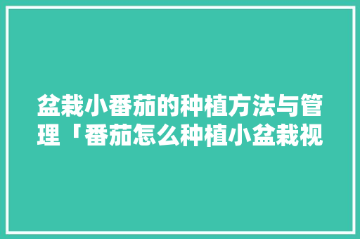 盆栽小番茄的种植方法与管理「番茄怎么种植小盆栽视频」 花朵知识