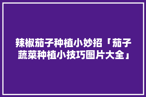 辣椒茄子种植小妙招「茄子蔬菜种植小技巧图片大全」 番茄种植技巧 辣椒茄子种植小妙招「茄子蔬菜种植小技巧图片大全」 辣椒茄子种植小妙招「茄子蔬菜种植小技巧图片大全」 番茄种植技巧