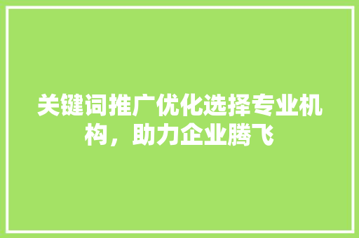 关键词推广优化选择专业机构，助力企业腾飞 种植技巧