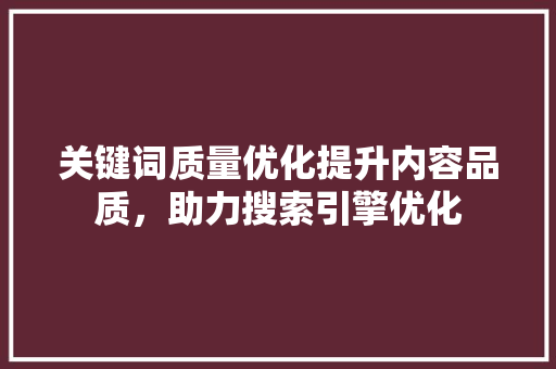 关键词质量优化提升内容品质，助力搜索引擎优化