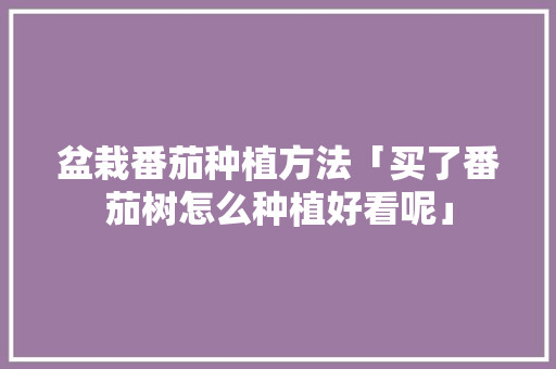 盆栽番茄种植方法「买了番茄树怎么种植好看呢」 盆栽番茄种植方法「买了番茄树怎么种植好看呢」 种植技巧