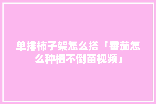 单排柿子架怎么搭「番茄怎么种植不倒苗视频」 单排柿子架怎么搭「番茄怎么种植不倒苗视频」 植物种类
