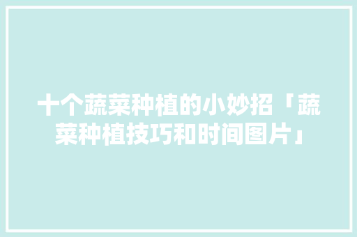 十个蔬菜种植的小妙招「蔬菜种植技巧和时间图片」