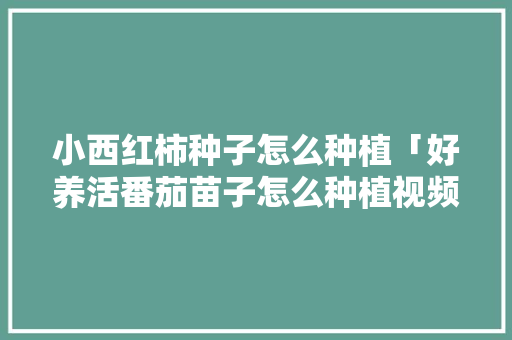 小西红柿种子怎么种植「好养活番茄苗子怎么种植视频」 小西红柿种子怎么种植「好养活番茄苗子怎么种植视频」 番茄病虫害防治