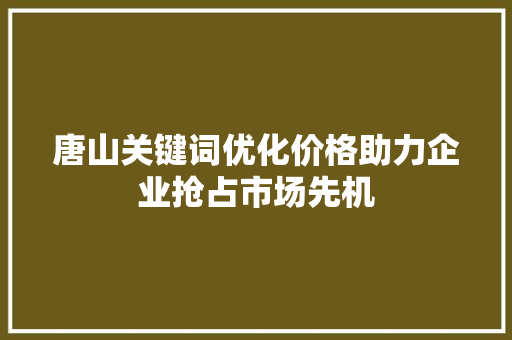 唐山关键词优化价格助力企业抢占市场先机
