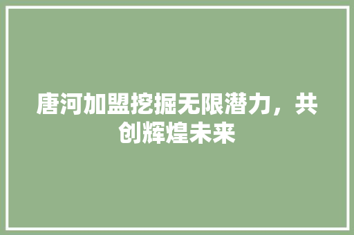 唐河加盟挖掘无限潜力，共创辉煌未来