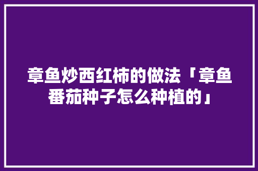 章鱼炒西红柿的做法「章鱼番茄种子怎么种植的」 章鱼炒西红柿的做法「章鱼番茄种子怎么种植的」 植物种类