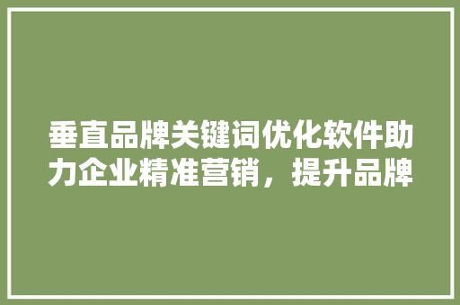 垂直品牌关键词优化软件助力企业精准营销，提升品牌竞争力