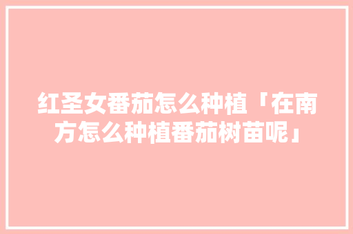 红圣女番茄怎么种植「在南方怎么种植番茄树苗呢」 花朵知识 红圣女番茄怎么种植「在南方怎么种植番茄树苗呢」 红圣女番茄怎么种植「在南方怎么种植番茄树苗呢」 花朵知识