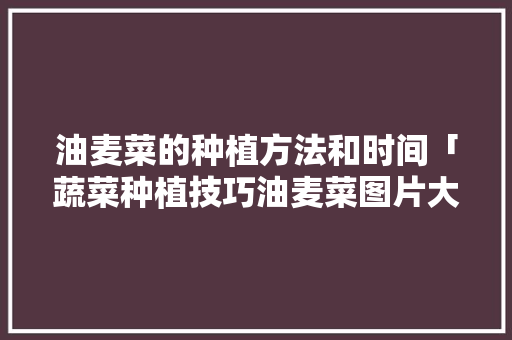 油麦菜的种植方法和时间「蔬菜种植技巧油麦菜图片大全」 油麦菜的种植方法和时间「蔬菜种植技巧油麦菜图片大全」 番茄病虫害防治