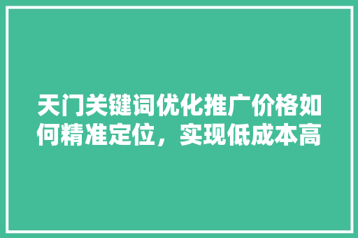 天门关键词优化推广价格如何精准定位，实现低成本高效益