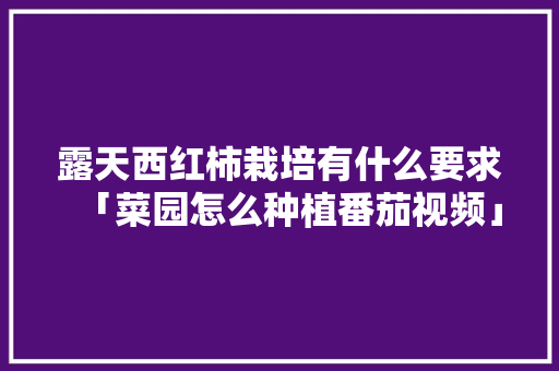 露天西红柿栽培有什么要求「菜园怎么种植番茄视频」 露天西红柿栽培有什么要求「菜园怎么种植番茄视频」 植物种类