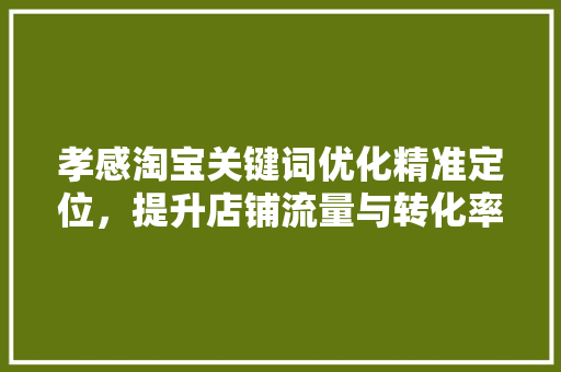 孝感淘宝关键词优化精准定位，提升店铺流量与转化率