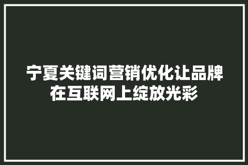 宁夏关键词营销优化让品牌在互联网上绽放光彩