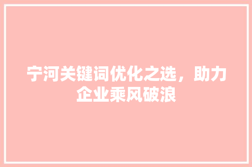 宁河关键词优化之选，助力企业乘风破浪 花朵知识