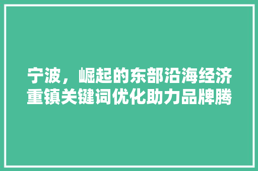 宁波，崛起的东部沿海经济重镇关键词优化助力品牌腾飞