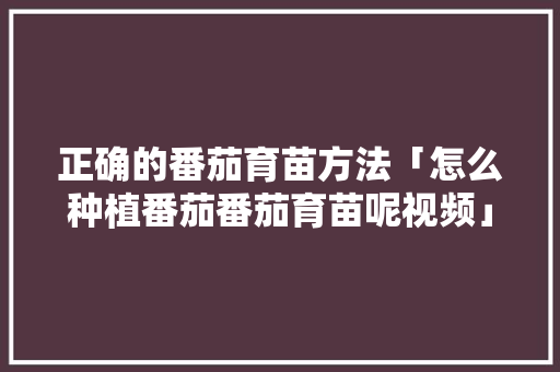 正确的番茄育苗方法「怎么种植番茄番茄育苗呢视频」 正确的番茄育苗方法「怎么种植番茄番茄育苗呢视频」 土壤施肥