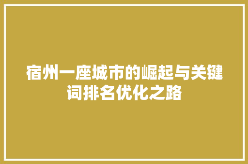 宿州一座城市的崛起与关键词排名优化之路