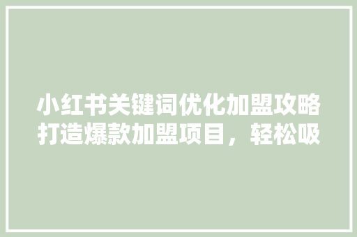 小红书关键词优化加盟攻略打造爆款加盟项目，轻松吸引者 种植技巧