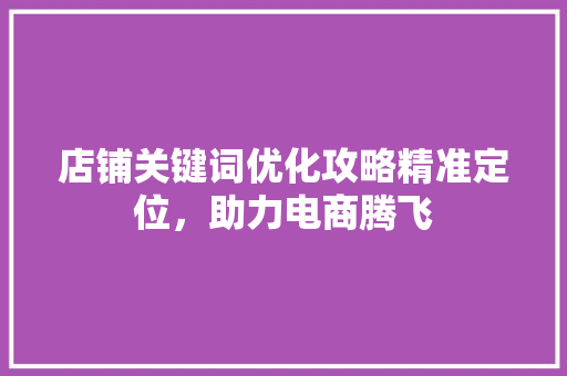 店铺关键词优化攻略精准定位，助力电商腾飞