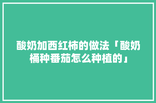 酸奶加西红柿的做法「酸奶桶种番茄怎么种植的」