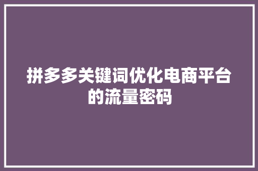 拼多多关键词优化电商平台的流量密码