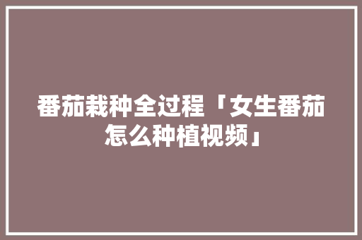 番茄栽种全过程「女生番茄怎么种植视频」 番茄栽种全过程「女生番茄怎么种植视频」 种植技巧