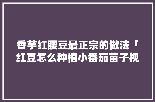 香芋红腰豆最正宗的做法「红豆怎么种植小番茄苗子视频」