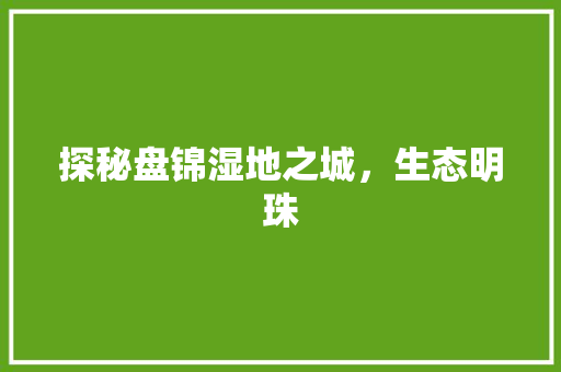 探秘盘锦湿地之城，生态明珠