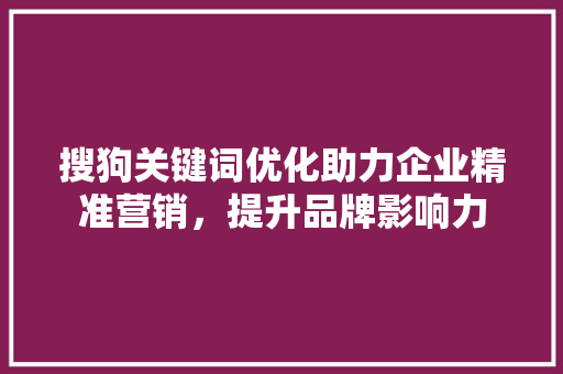 搜狗关键词优化助力企业精准营销，提升品牌影响力