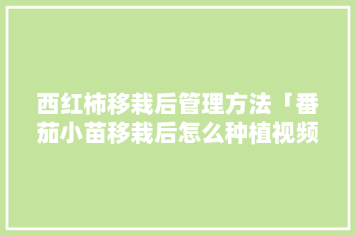西红柿移栽后管理方法「番茄小苗移栽后怎么种植视频」 番茄种植技巧 西红柿移栽后管理方法「番茄小苗移栽后怎么种植视频」 西红柿移栽后管理方法「番茄小苗移栽后怎么种植视频」 番茄种植技巧