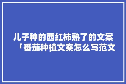 儿子种的西红柿熟了的文案「番茄种植文案怎么写范文大全」 儿子种的西红柿熟了的文案「番茄种植文案怎么写范文大全」 农业常识