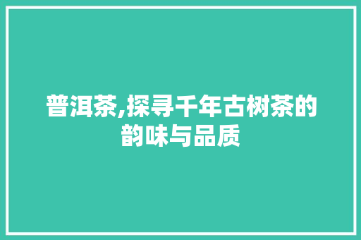 普洱茶,探寻千年古树茶的韵味与品质