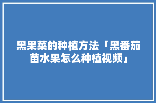 黑果菜的种植方法「黑番茄苗水果怎么种植视频」 黑果菜的种植方法「黑番茄苗水果怎么种植视频」 花朵知识