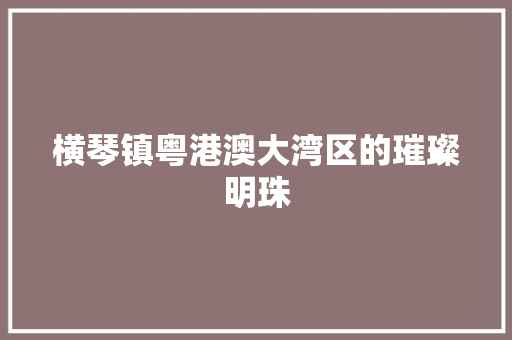 横琴镇粤港澳大湾区的璀璨明珠