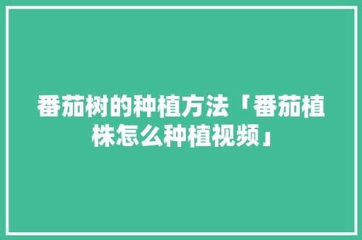 番茄树的种植方法「番茄植株怎么种植视频」 番茄树的种植方法「番茄植株怎么种植视频」 花朵知识