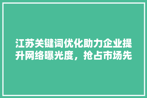 江苏关键词优化助力企业提升网络曝光度，抢占市场先机