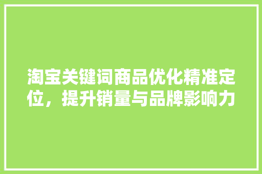 淘宝关键词商品优化精准定位，提升销量与品牌影响力