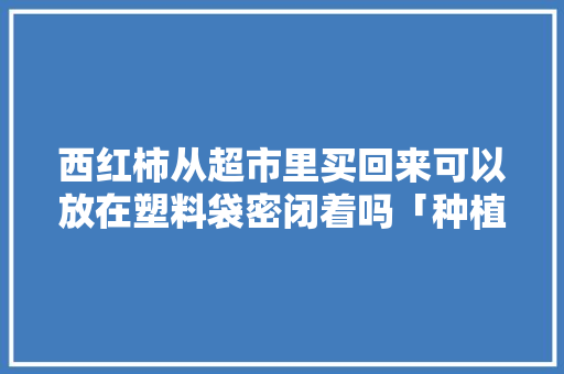 西红柿从超市里买回来可以放在塑料袋密闭着吗「种植番茄怎么套袋子视频」 西红柿从超市里买回来可以放在塑料袋密闭着吗「种植番茄怎么套袋子视频」 农业常识
