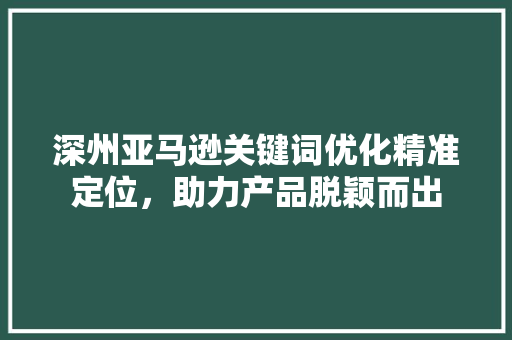 深州亚马逊关键词优化精准定位，助力产品脱颖而出